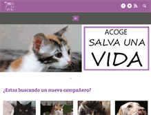 Tablet Screenshot of apamasvida.org